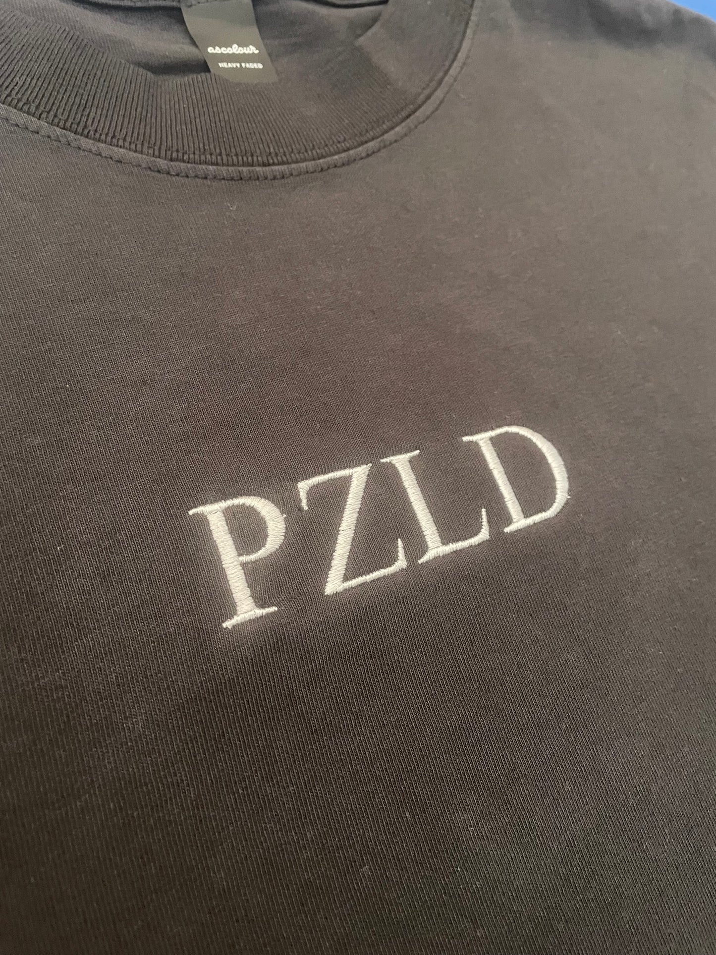 PZLD Heavy Faded Tee