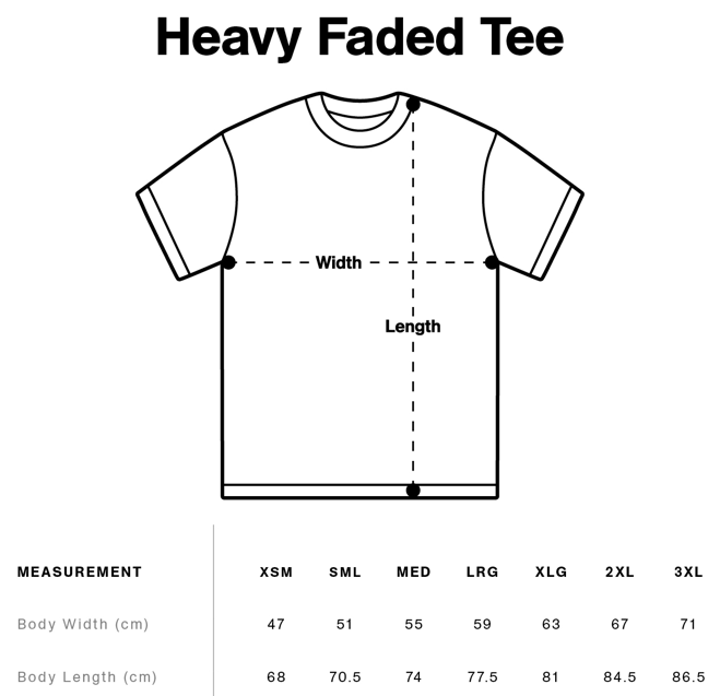 PZLD Heavy Faded Tee